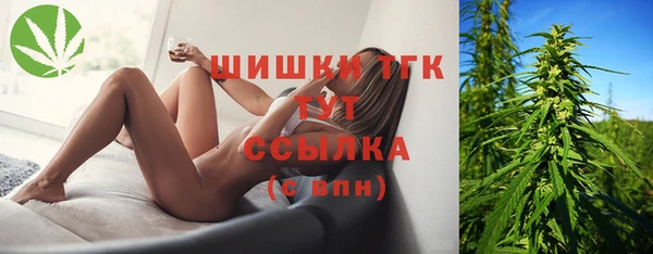 мдпв Осинники