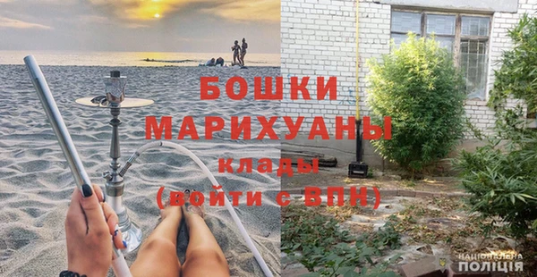 прущие грибы Осташков