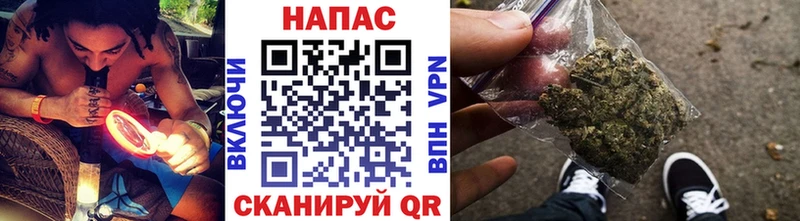 Бошки марихуана THC 21%  наркотики  Пустошка 